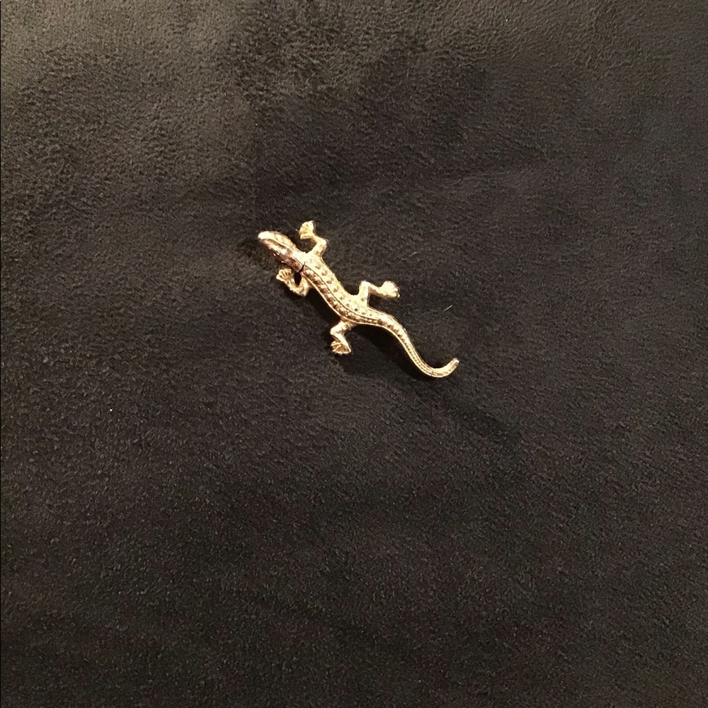 2/$15 Gold Lizard Pin - Picture 2 of 3